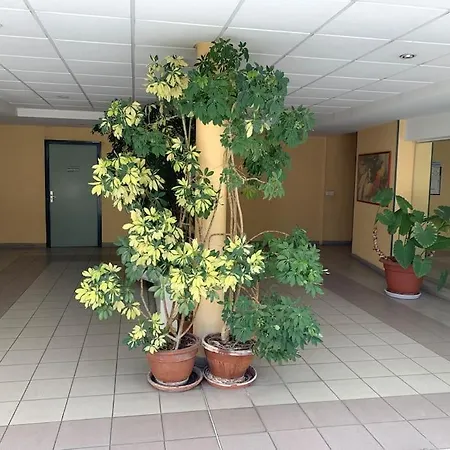 Super Arboré Avec Barbecue Et Parking *