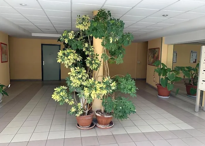 Super Arbore Avec Barbecue Et Parking *